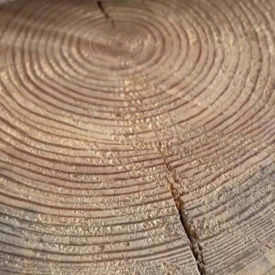 Kissen Bär, Kissen Cord, Cordkissen, Geschenk zur Taufe, Geschenk zur Geburt, Geschenk Kinder, Kissen mit Namen, Geschenk Weihnachten